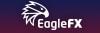 Eaglefx Logo Custom 100x33.jpg